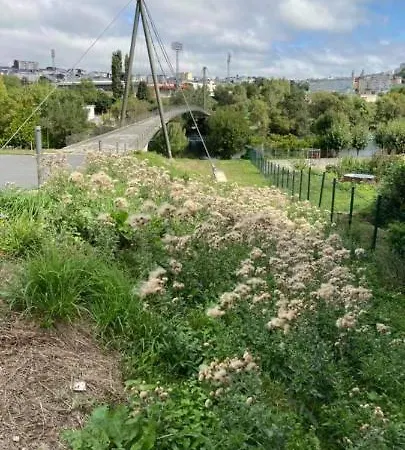 Lazzaretto Vivienda Uso Turistico Lugo