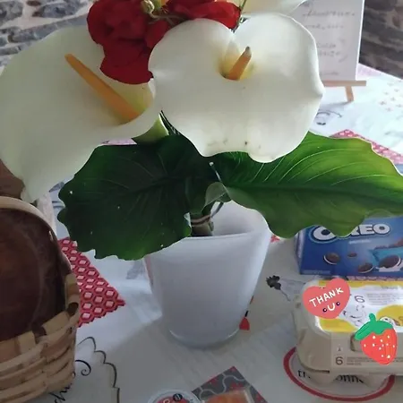 Casa vacanze Lazzaretto Vivienda Uso Turístico *