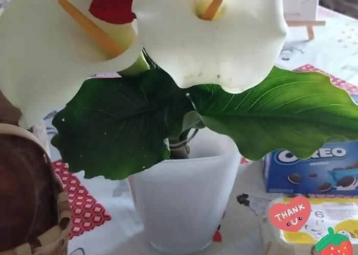 Holiday home Lazzaretto Vivienda Uso Turistico *